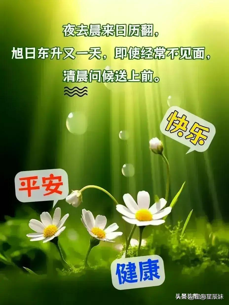 防爆振动电机 第1764页