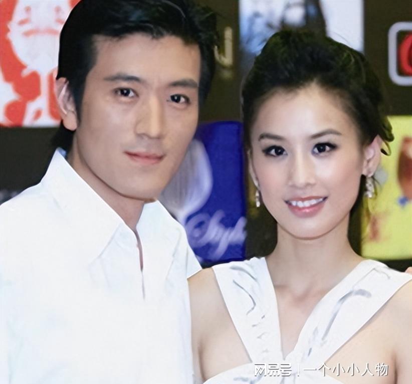 杨子黄圣依的财富探秘，无尽财富之源揭秘