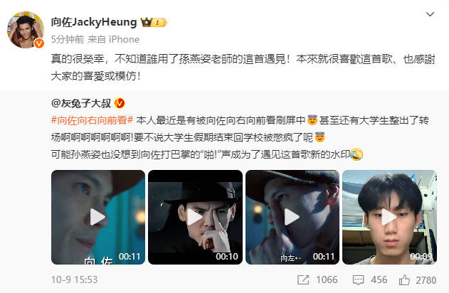 医生提醒，模仿向佐摸鼻梁需谨慎背后的温情故事与风险考量