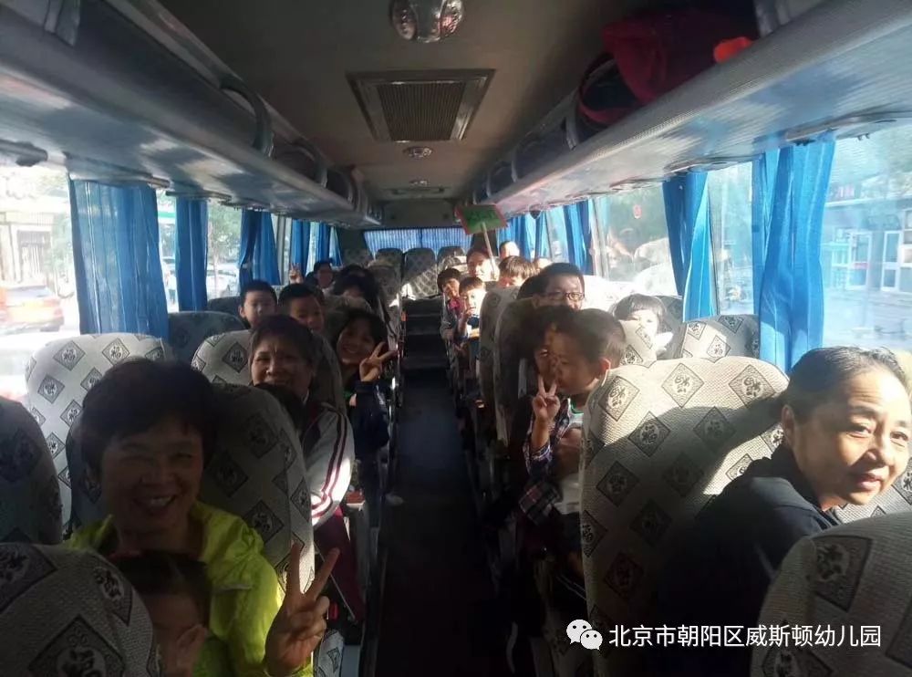 拥抱自然，踏上寻找内心平静的最新旅程