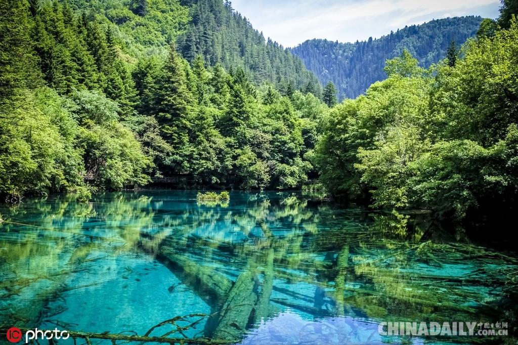 母亲节讲章，自然之旅寻找内心的平和与宁静