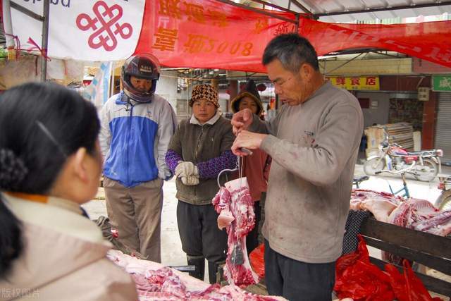全国最新猪价概况，背景、影响与走势分析