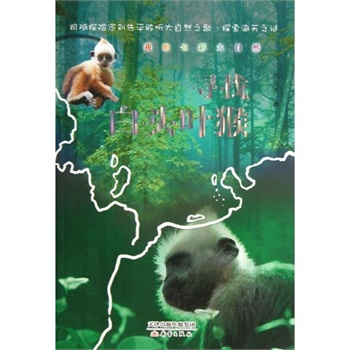 1980年猴票最新行情及探索自然美景之旅，寻找内心平和的价值