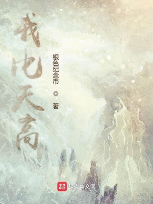 周铮牧云小说最新章节深度解析，背景、事件与地位探究