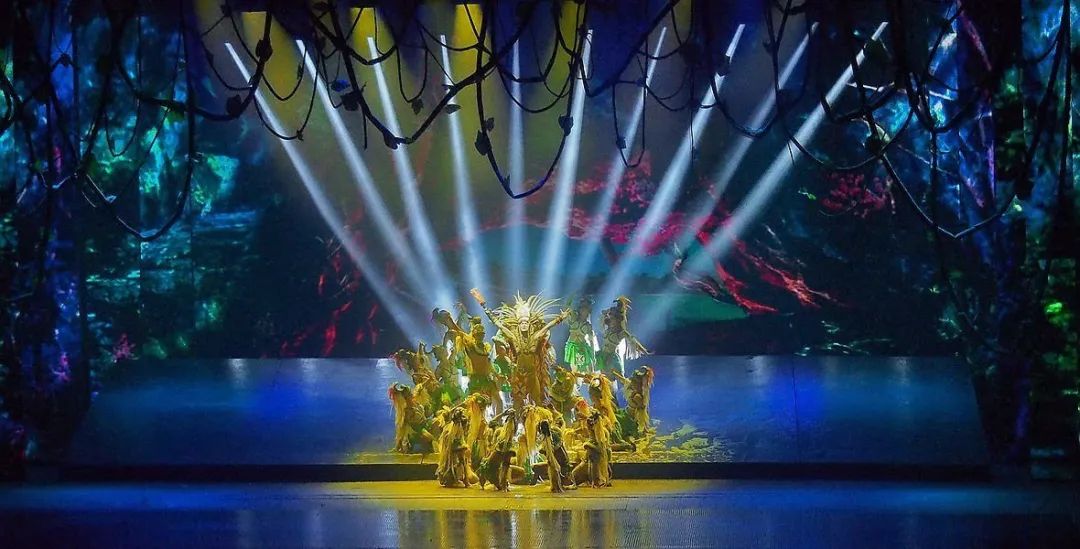 宋城演艺新动态，学习之旅中的变化与自信成就之源