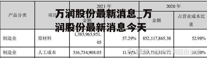 万润股份最新动态深度解析与观点阐述