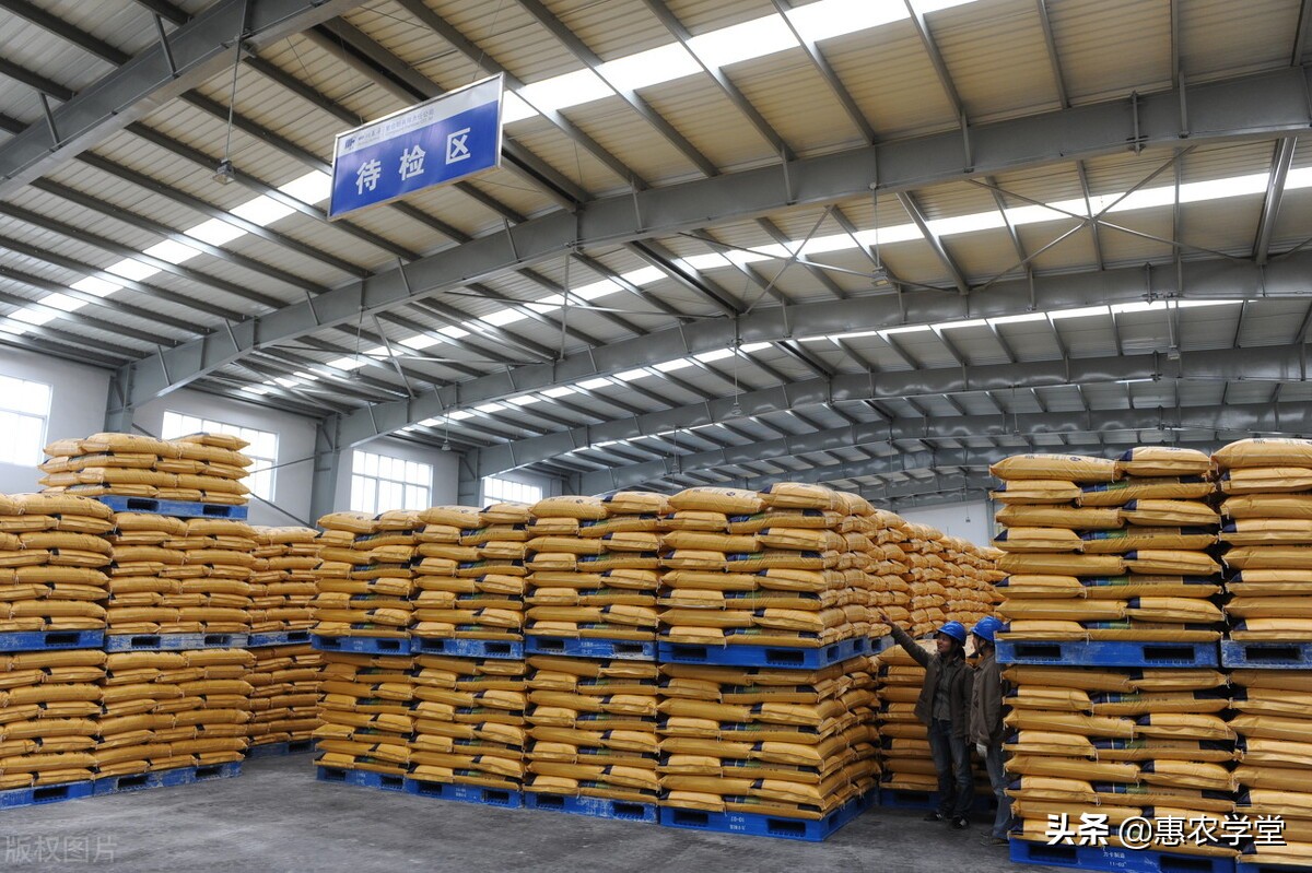 化肥价格行情最新解读，全面洞悉市场走势！