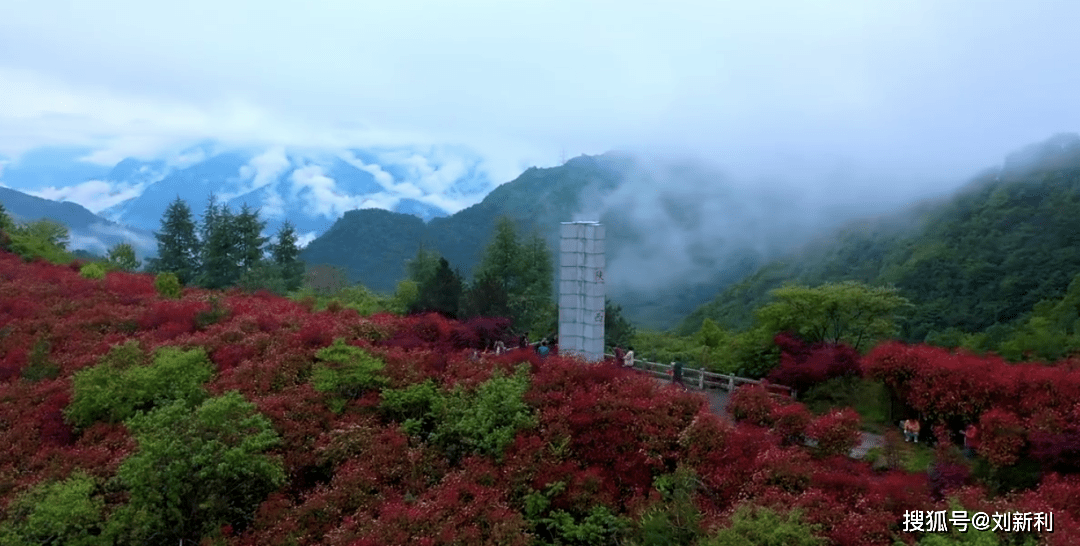 镇雄新闻最新动态，自然美景探索之旅的心灵觉醒