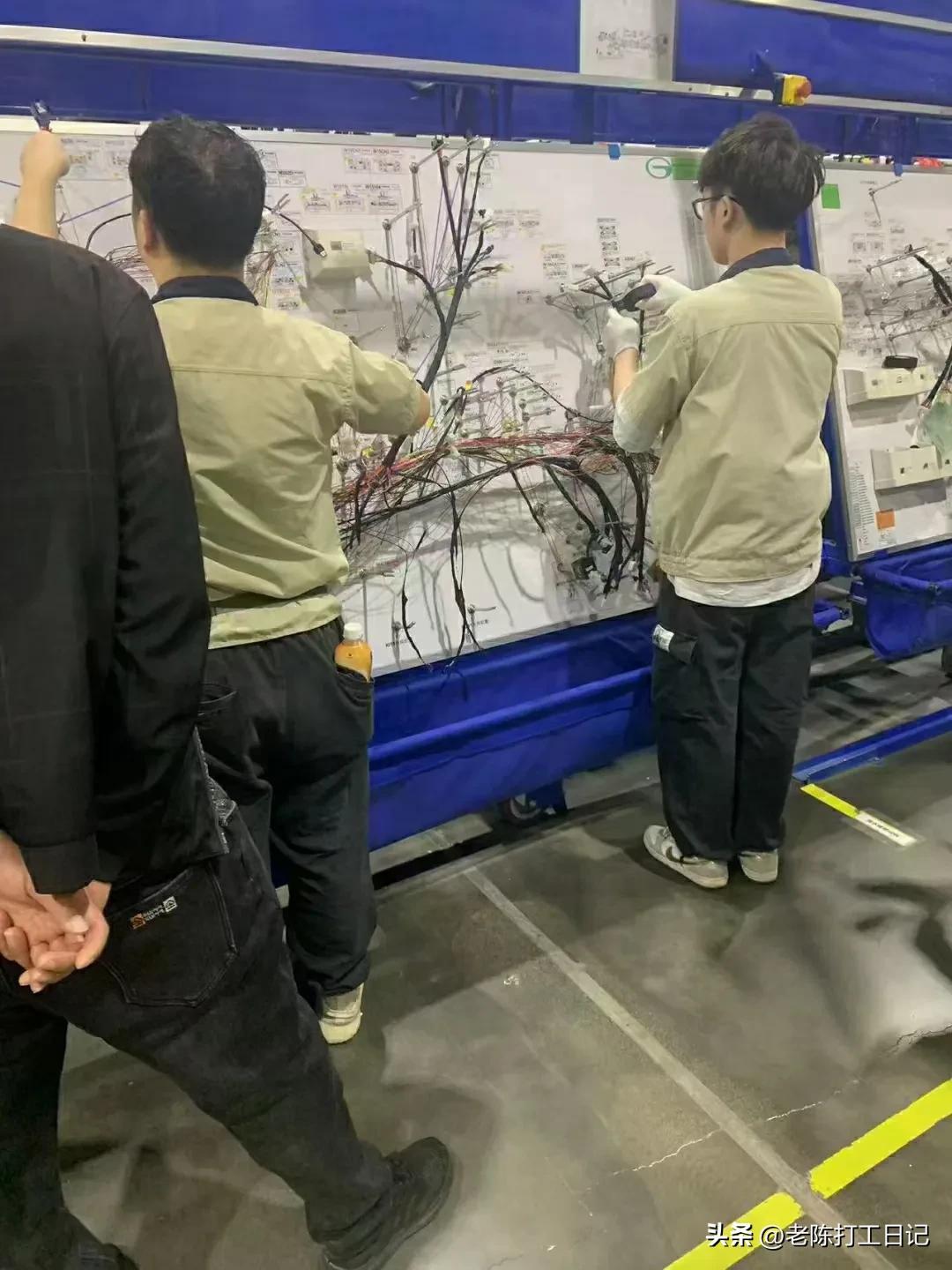沙井最新招聘，启程探索自然美景之旅的启程点