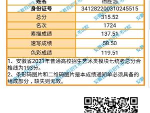 临泉最新招聘信息概览与观点论述