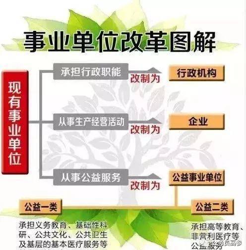 事业编改革最新动态，全面指南与步骤详解