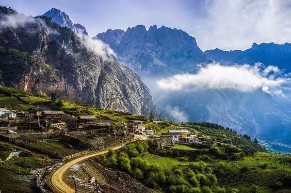 白芨最新价格，自然美景探险之旅的探寻与分享