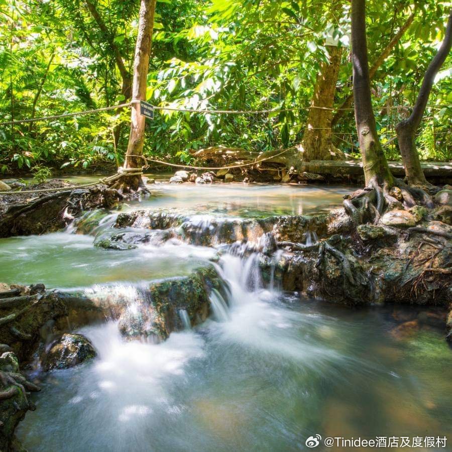 最新地址更新，自然美景探索之旅的治愈力量
