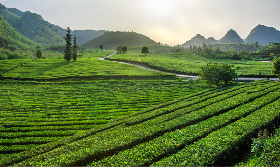 自然美景探索之旅 第19页