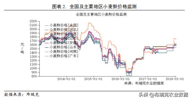 小麦价格最新走势深度解析，市场趋势与影响因素探讨