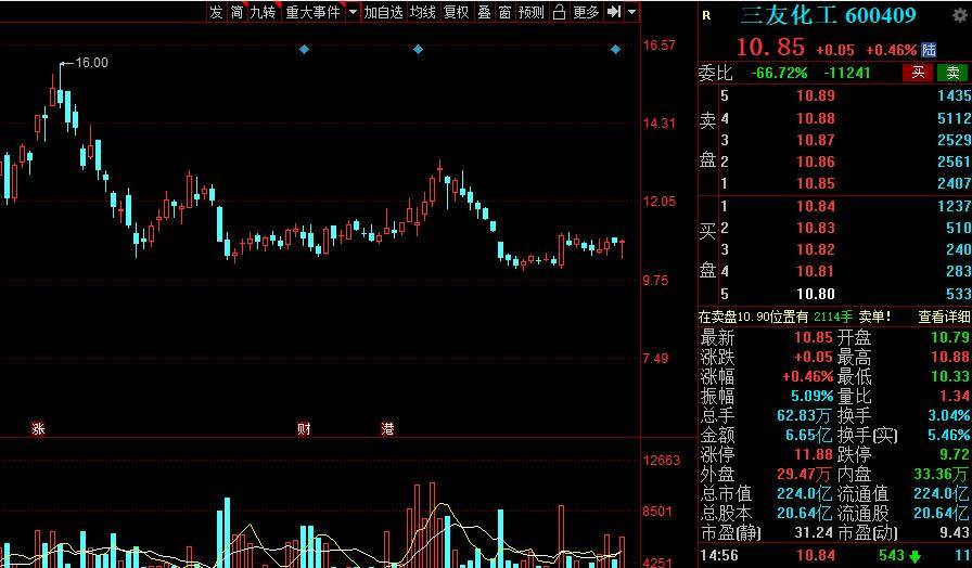 科技引领未来，最新羊价格走势与羊产业新动向解析