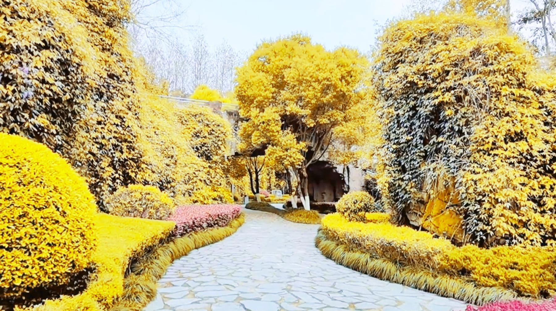 云飞最新动态，自然美景探险之旅，探寻内心宁静与平和的旅程