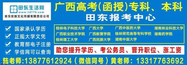 田东最新招聘，职业发展的理想选择地