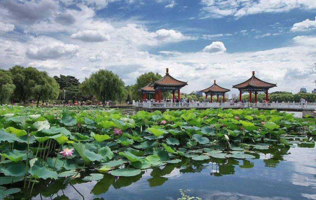 苏州高新最新动态，开启自然美景探索之旅