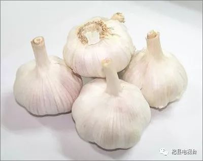 大蒜今日最新价格行情概述