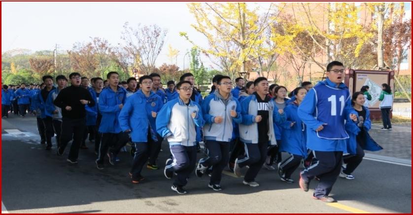 最新党的教育方针及其步骤指南全面解读