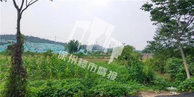 徐州房产拍卖最新动态揭秘，背景、事件与影响全解析