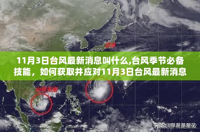 今年最新台风动态，全面解析与应对建议