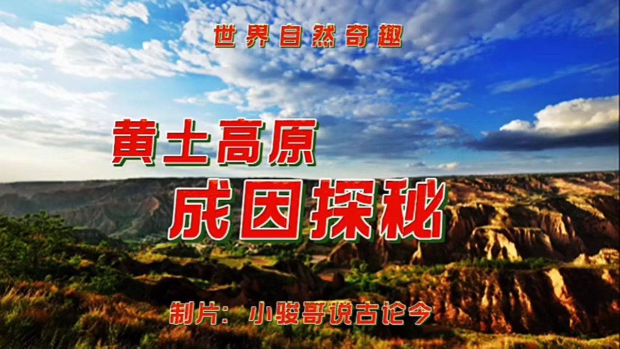 金利最新招聘，探索自然美景之旅，寻求内心平和与宁静的伙伴