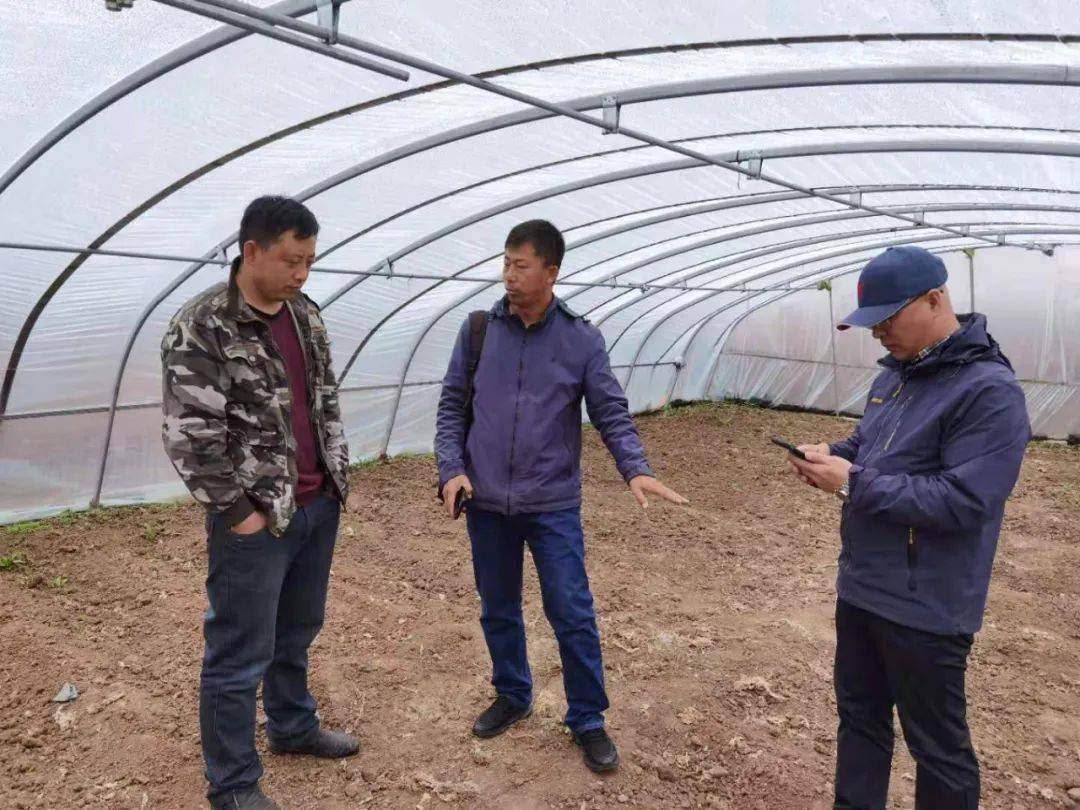 嘉兴平湖最新招聘信息，学习变化，自信成就未来之路