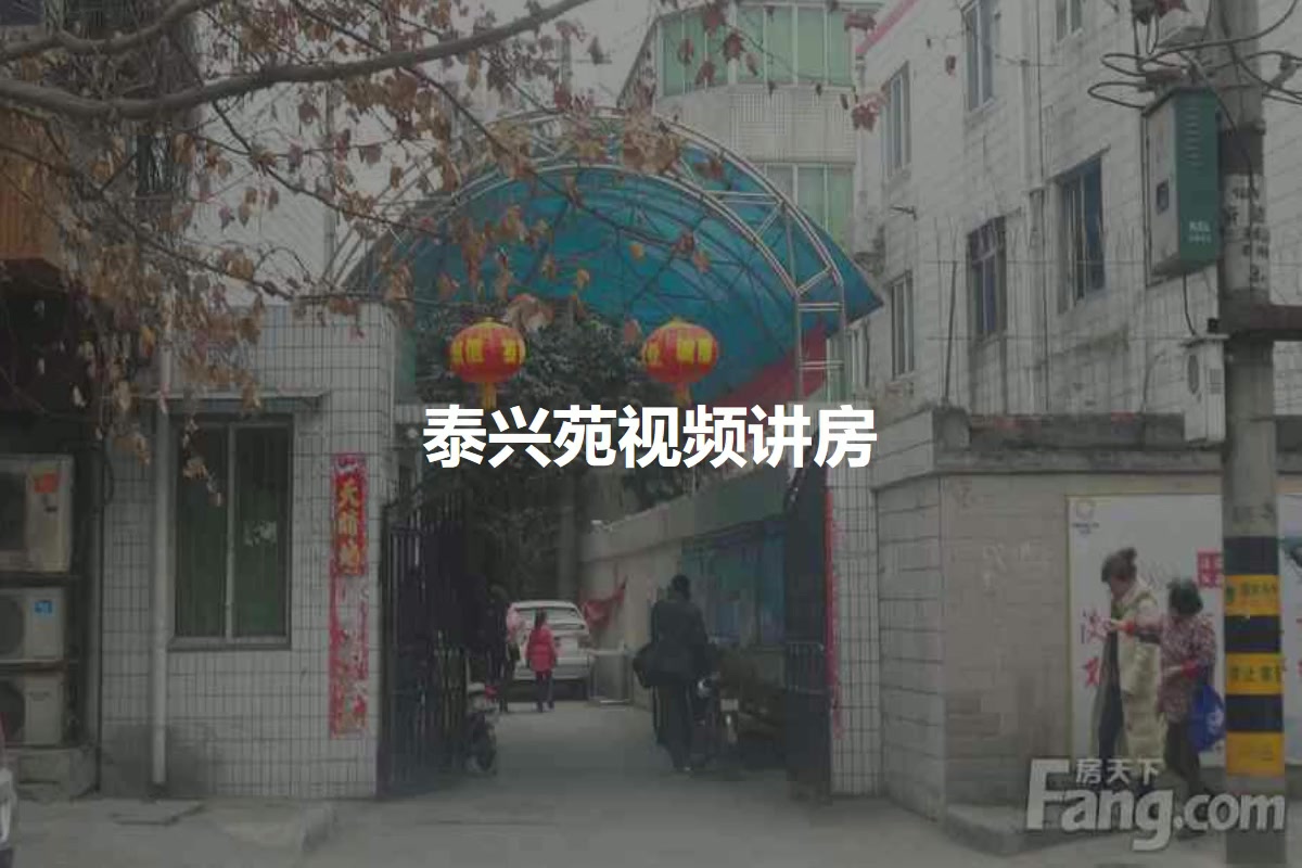 秦洪最新看盘动态及小巷深处的独特风味揭秘