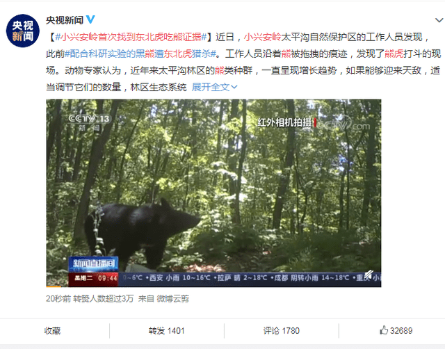 黄瓜视频最新版，探索自然美景，寻找内心平和的轻松之旅