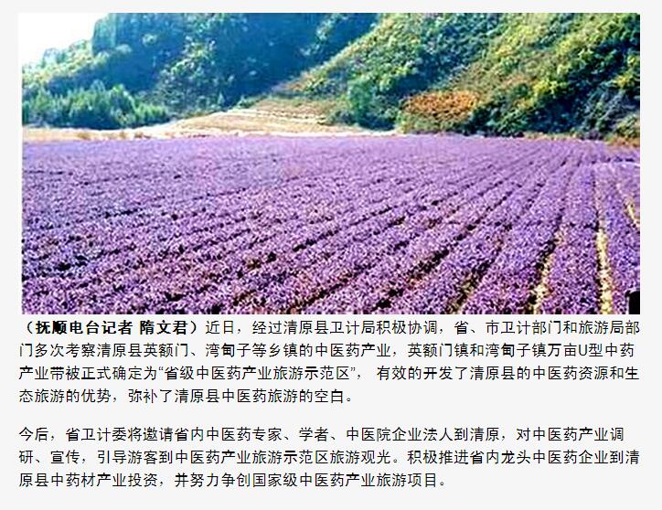 中药材涨价背景下的自然之旅，寻找内心的平和与宁静