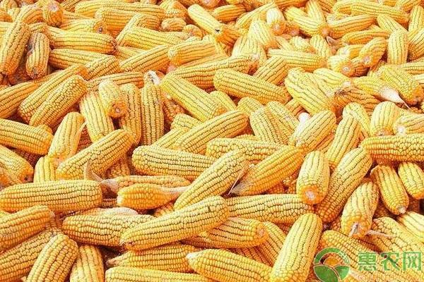 最新行情分析