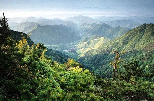 姜山冷门励志之旅，自信与成就感的源泉最新消息