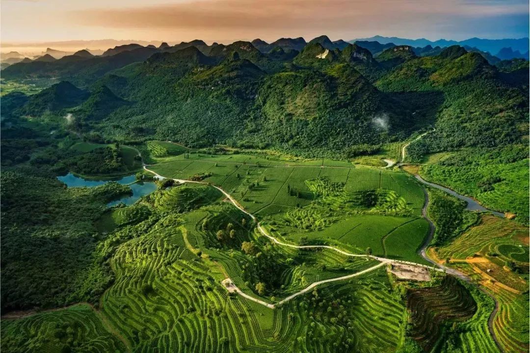 上海交通执法最新动态，自然美景探索之旅邀请启航