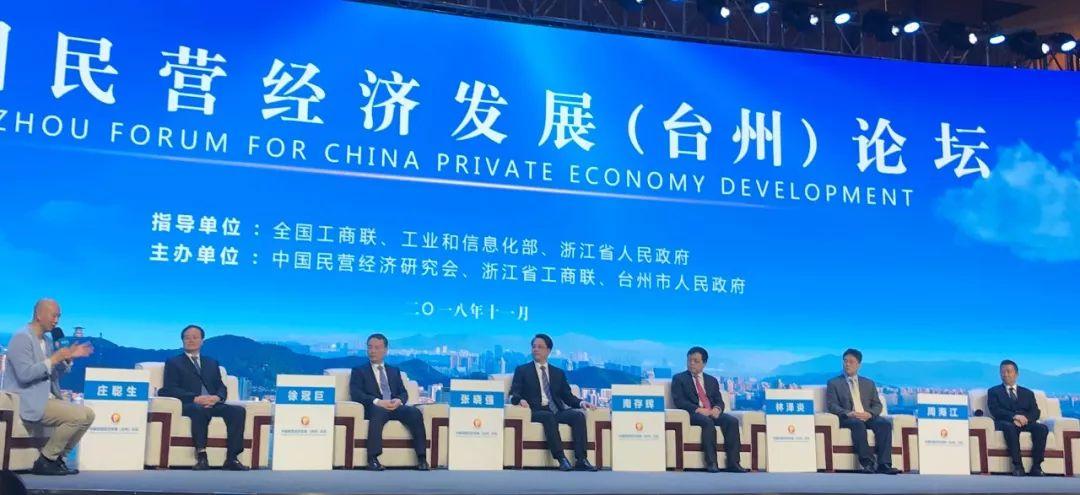 最新信息披露的上市公司，前沿动态与商业透明度概览