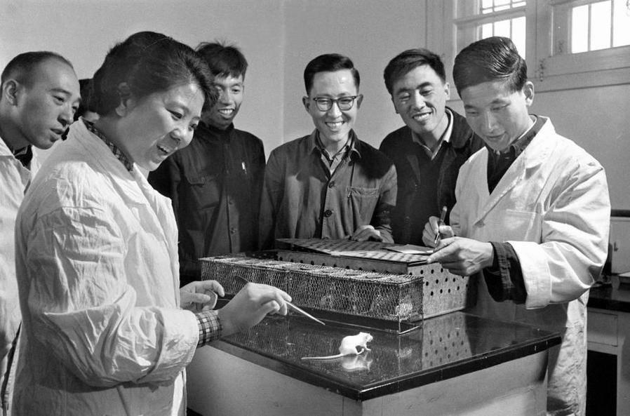 模拟模拟器最新版，时代进步的产物与领域之光探索