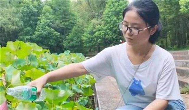 湖北高考成绩的揭晓之旅，最新消息速递