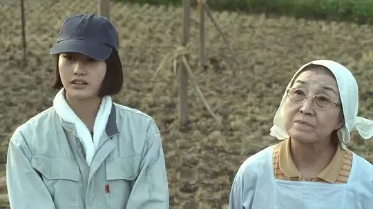 上门女婿韩东的心灵寻觅与探险之旅，自然美景中的心灵平静之旅