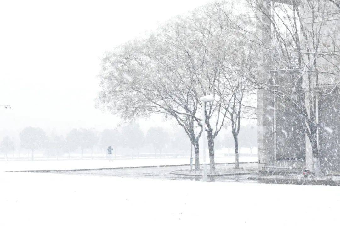 江苏徐州雪中美景之旅，探寻内心平静的最新下雪消息