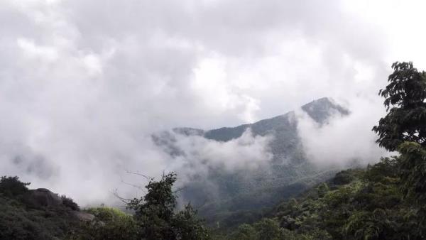 池州自然美景之旅，远离病毒，拥抱自然之美