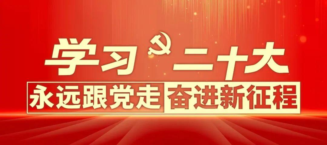 一天最新报告揭秘，事件背景、进展与深远影响