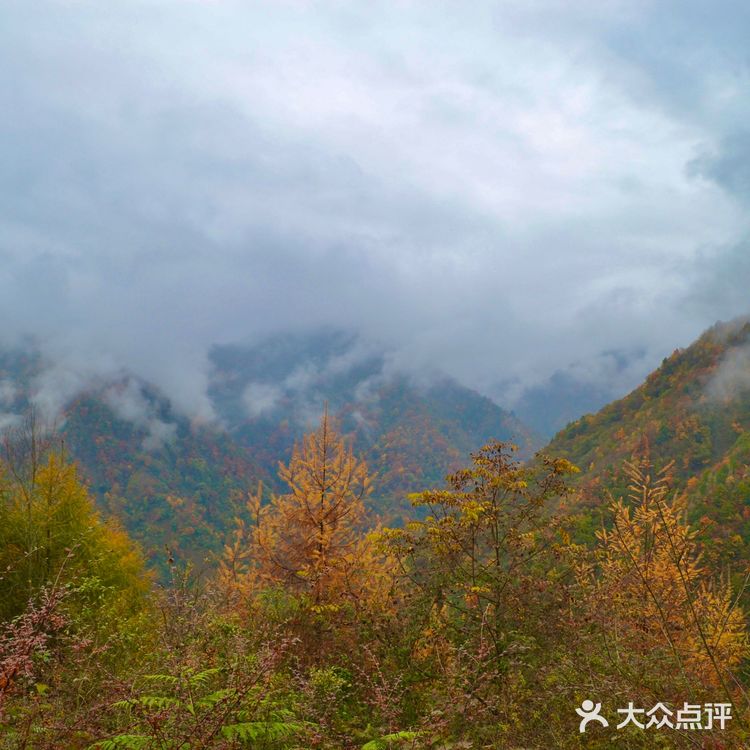 耿达老鸦山最新日常趣事概览