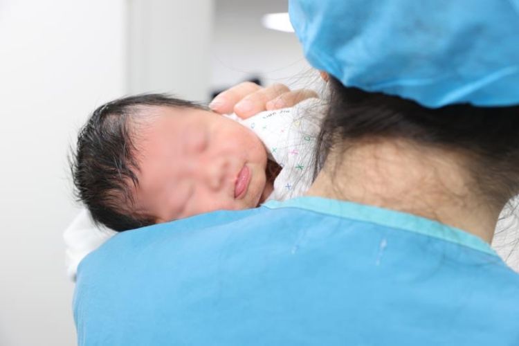 常德市最新弃婴情况概述，弃婴现象及其影响分析