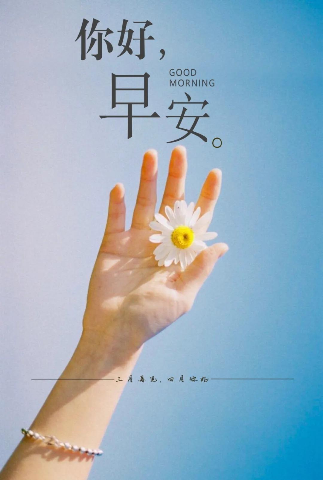 最新早安心语，开启美好一天的详细步骤与心灵寄语
