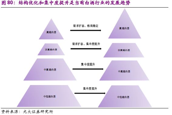 繁荣背后的深度探析，酒水行情观察与解析