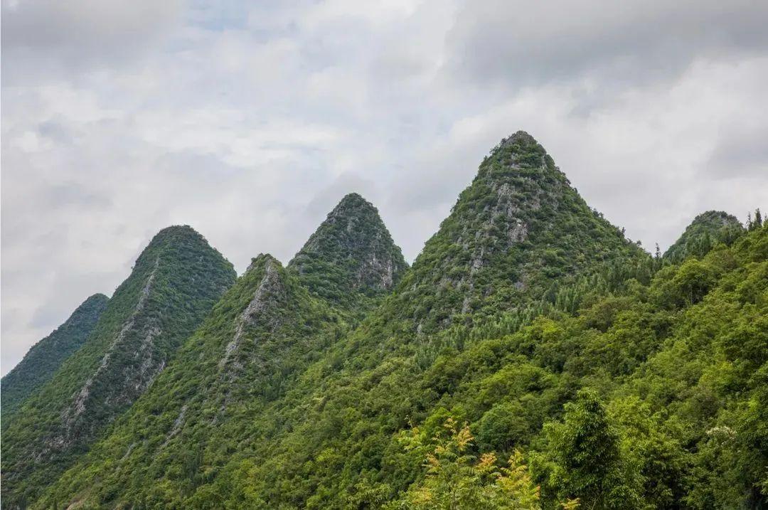 播趣电影网，小巷深处的电影宝藏探索之旅