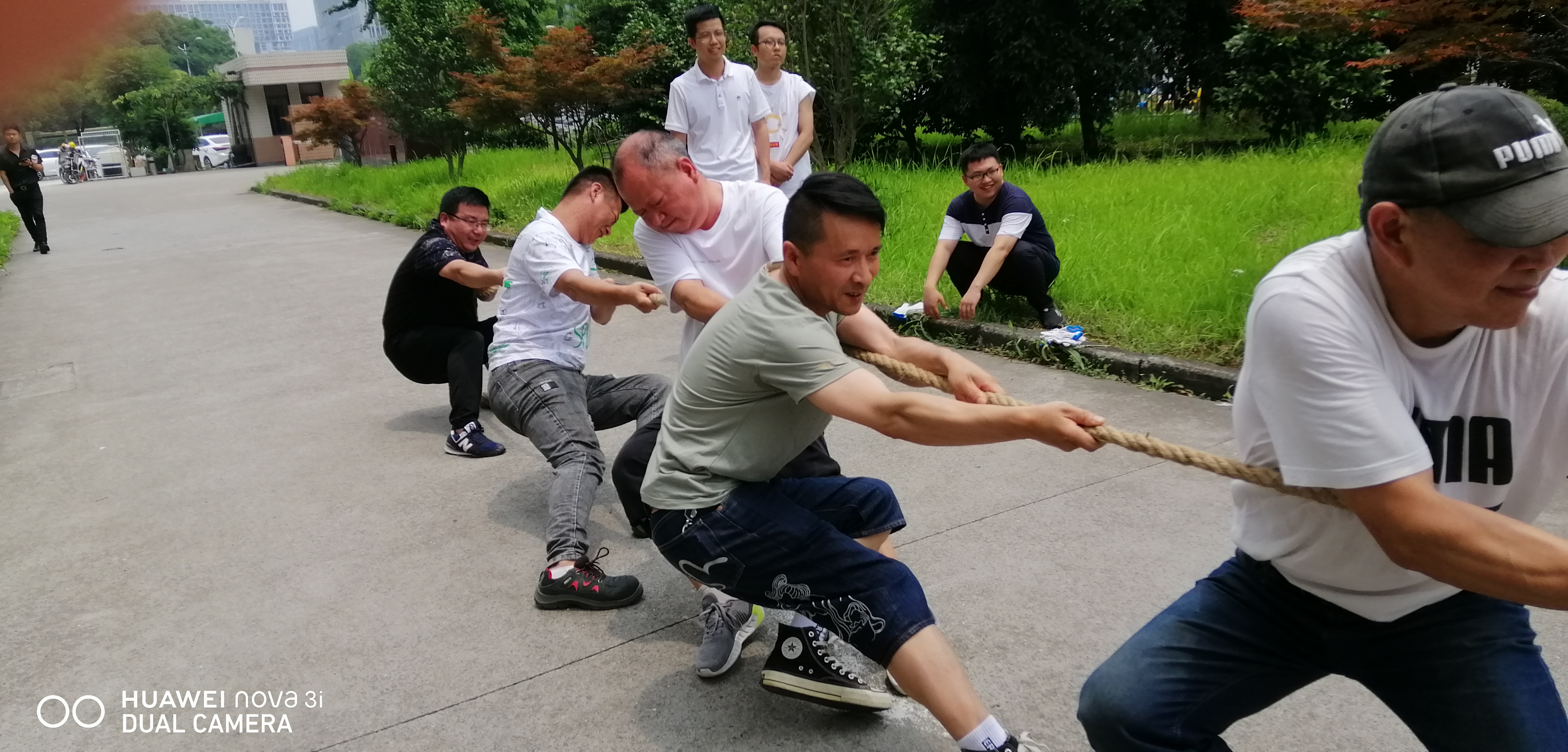 思域拔河比赛，力量与策略的挑战与较量