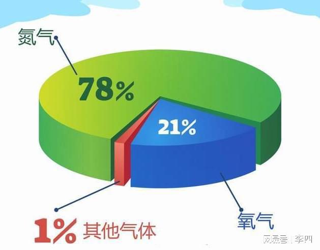 最新氧气税率公布，探寻小巷独特气息与隐藏瑰宝揭秘