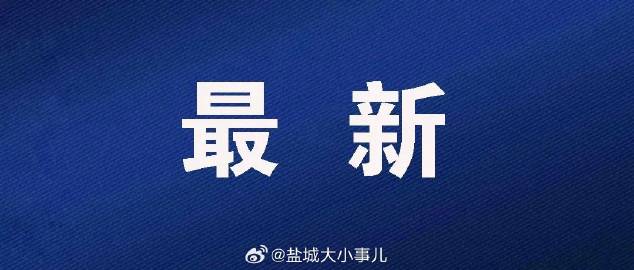 盖网最新动态揭秘，前所未见的进展！